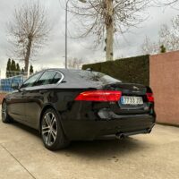 lateral Jaguar