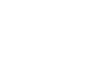 Avada Car Dealership Logo